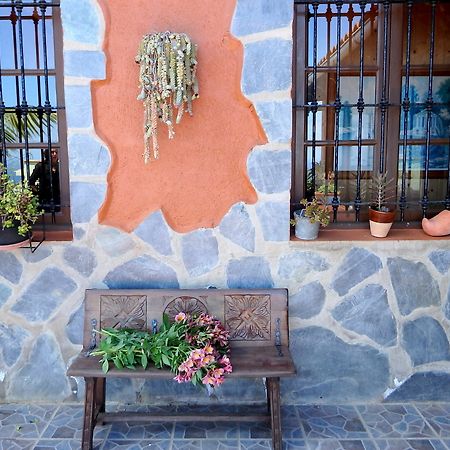 Finquita La Villa Icod De Los Vinos Bagian luar foto